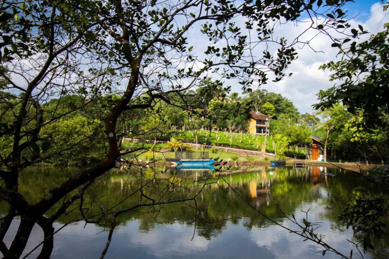 Lake Serenity Resort & Spa Kuruwita Eksteriør bilde