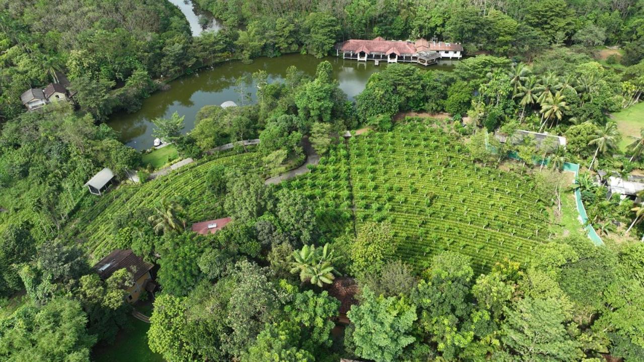 Lake Serenity Resort & Spa Kuruwita Eksteriør bilde